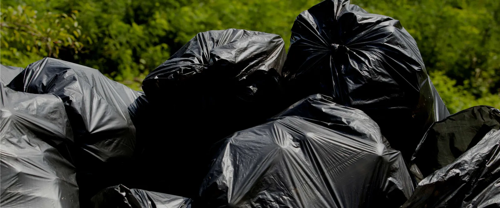 RUBBISH REMOVAL SERVICES